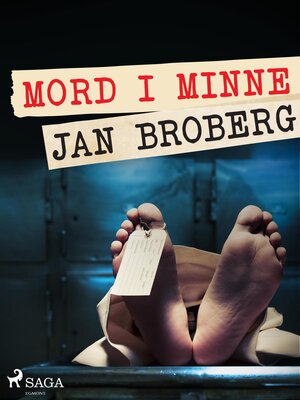 cover image of Mord i minne